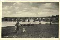 kutya. Photo 1000 20575.