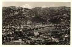 Nagyszőlős, Vyn ohradiv