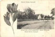 Balatonban ( 3600 20145.