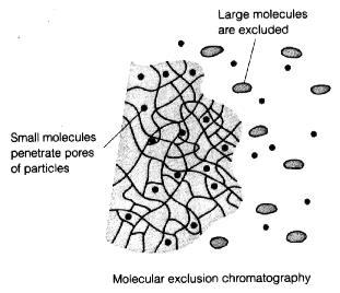 az anion ionosan adszorpciós