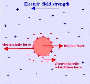 _ Elektrokinetikus potenciál meghatározása + F F el F fric el QE fv F Kis ionokra fric