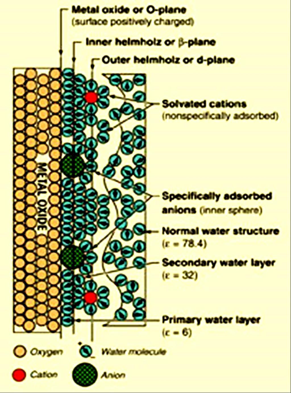 Az elektromos kettősréteg szerkezete Egy pozitívan töltött fémoxid felületen a vizes oldatban lévő ionokból az anionok közvetlenül szorbeálódnak a felületen, ami a felület áttöltését