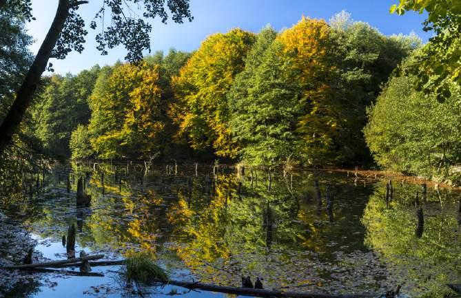 A parkból induló Hubertlaki Tanösvény útvonalán sok információt és érdekességet tudhattok meg a környék élővilágáról, az erdészek munkájáról, az erdőgazdálkodásról, valamint természetes és épített