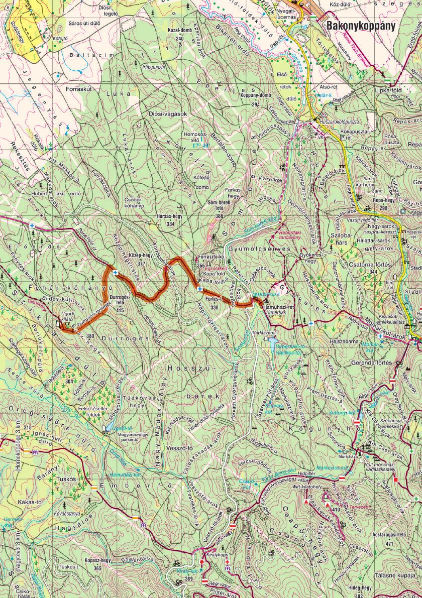 6. nap SZÁRHEGYI-KILÁTÓ KÖRTÚRA Útvonal: Hubertlak Szárhegyi-kilátó - Hubertlak Napi útvonalhossz: 10,1 km Napi szintemelkedés/lejtés: 203/203 m A szállásról nyugati irányba induljatok a K kereszt