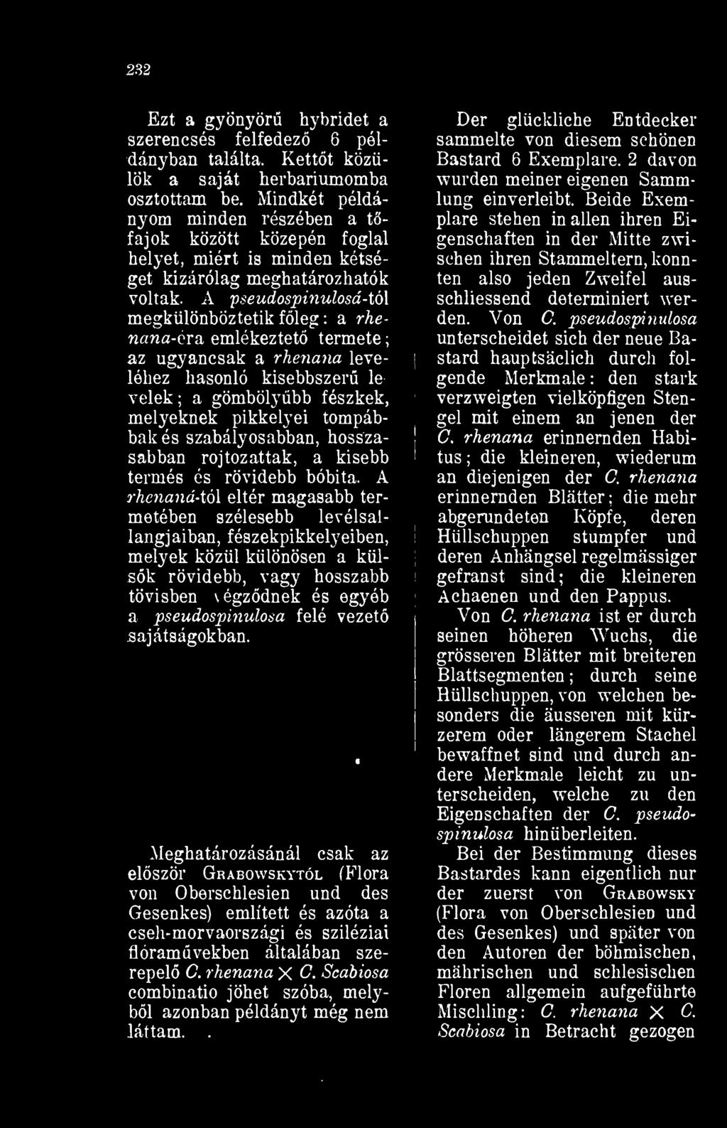A pseudospinulosá- tói megkülönböztetik fleg : a rhettfltt-cra emlékeztet termete az ugyancsak a rhenana leveléhez hasonló kisebbszer le velek a gömbölybb fészkek, melyeknek pikkelyei tompábbak és