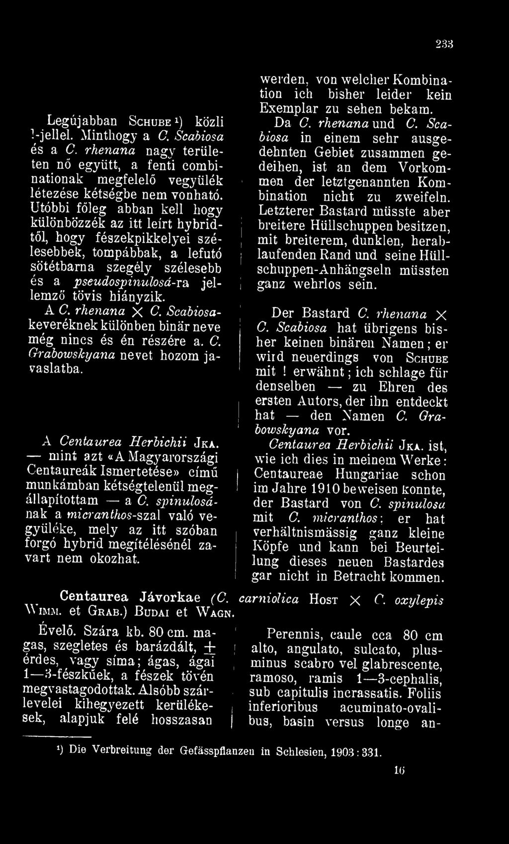 Utóbbi fleg abban kell hogy különbözzék az itt leírt hybridtl, hogy fészekpikkelyei szélesebbek, tompábbak, a lefutó sötétbarna szegély szélesebb és a pseudospinulosá-ra jellemz tövis hiányzik. A C.