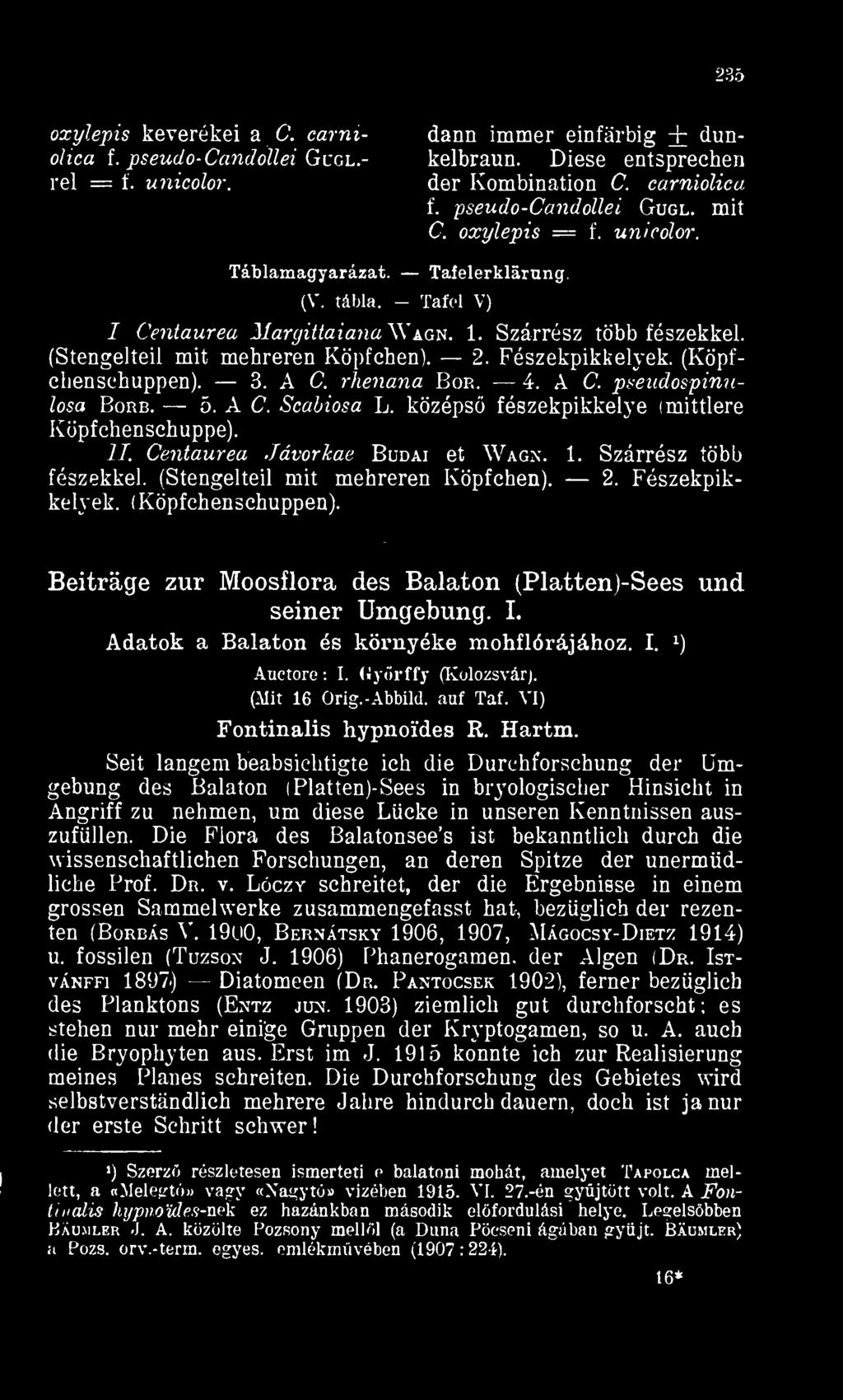 (Köpfchenschuppen). Beitráge zr Moosflora des Balaton (Plattén )-Sees und seiner Umgebung. I. Adatok a Balaton és környéke mohflórájához. I. x ) Anctore : I. (Jyorffy (Kolozsvár). (Mit 16 Orig.