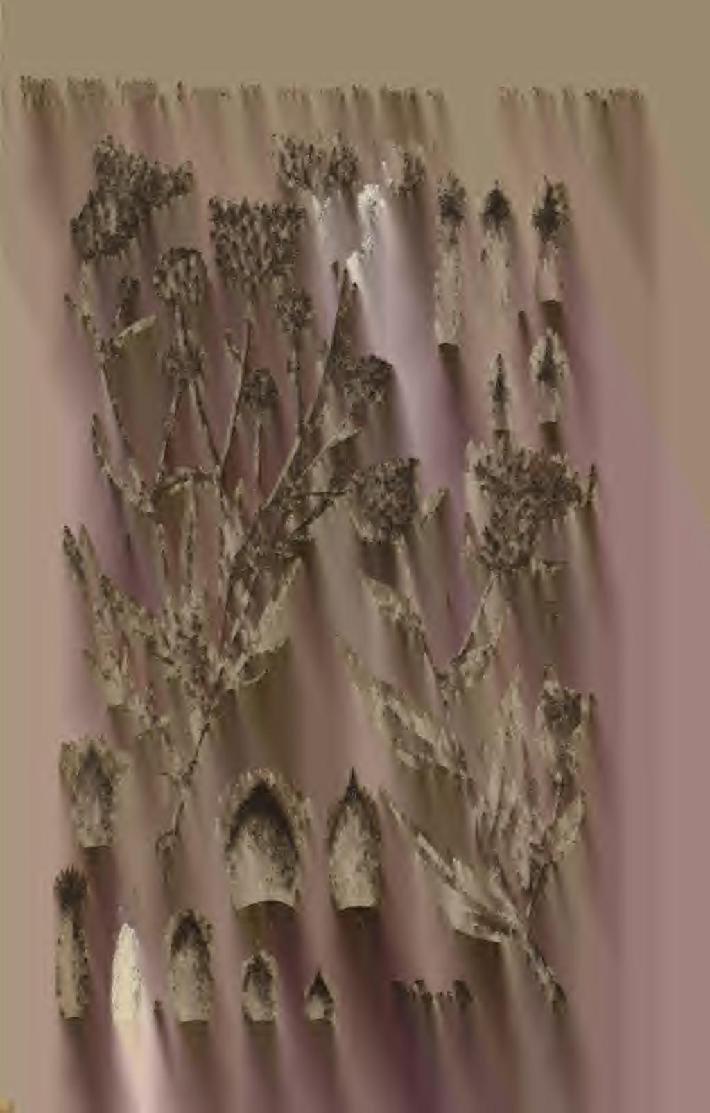org/ www.zobodat.at Magy. Botan.