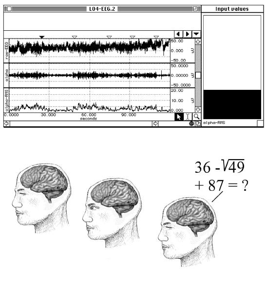 Elektroencephalogram (EEG) vizsgálata Az alfa- és béta aktivitás változás vizsgálata (EEG II) A mérési adatok elemzése és értékelése Pszichológia BA.