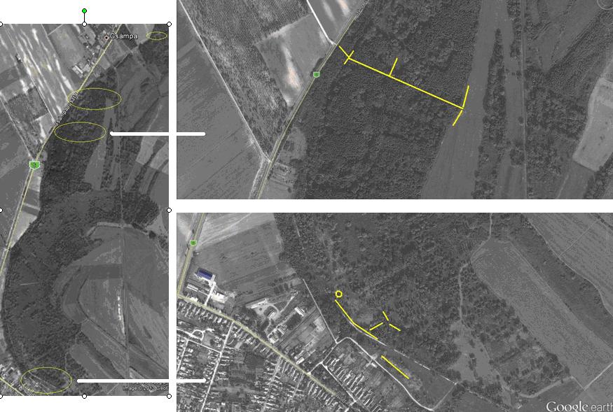 Dunaszentgyörgyi-láperdő (HUDD20072) A Dunaszentgyörgyi-láperdő északi vége 2 mintavételi területtel az Atomerőmű 3 km-es körzetébe esik, ezért azok vizsgálata ott, a természetes erdőknél kerül