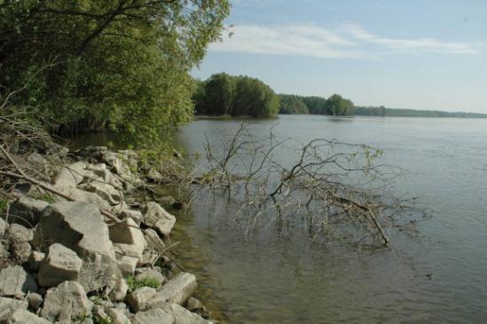 Tavaszi mintavétel 13.7-5.