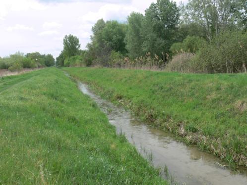 Az erőmű 3 km-es sugarú térségének mintavételi pontjai: P-2. Paks, Csámpa, csatorna, EOV: 633333, 135315; N46 33'43.3", E18 49'48.