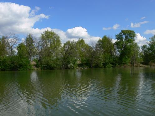 7"; két mintavételi alkalom: 2012.04.25., 2012.07.23. P-10. Paks, IV-es tó, EOV: 636043, 136429; N46 34'19.6", E18 51'55.