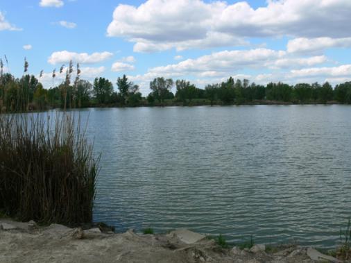 5"; két mintavételi alkalom: 2012.04.25., 2012.07.23. P-12. Paks, V-ös tó, EOV: 636252, 136435; N46 34'19.8", E18 52'05.