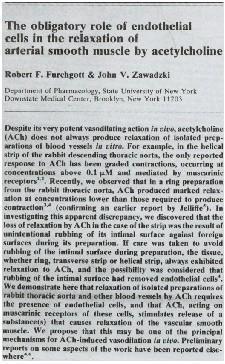 in the Relaxation of Arterial Smooth Muscle