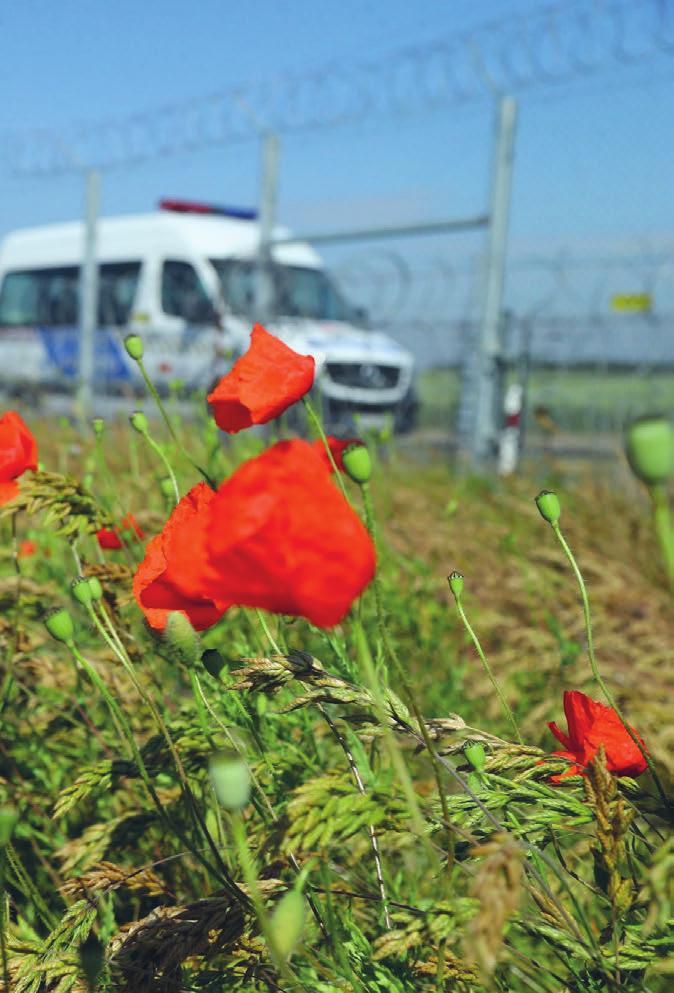 szegedi hírek A SZEGED KÖRNYÉKI GAZDÁK Kerítésbontó László Botka Kerítésbontó Lászlónak is nevezhetjük az MSZP miniszterelnök-jelöltjét így reagált Hollik István kereszténydemokrata honatya arra,