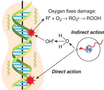 AOP (ADVANCED OXIDATION PROCESSES)