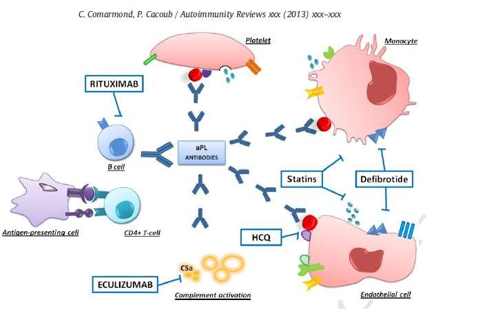 Újabb adatok az APS pathogenesiséről Abciximab