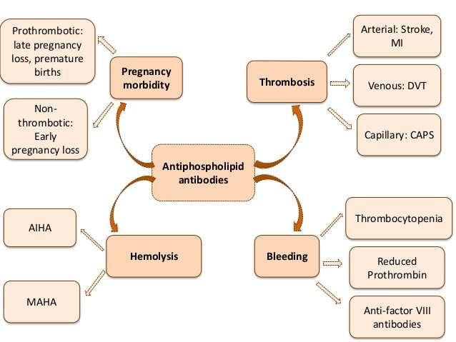 Az antifoszfolipid