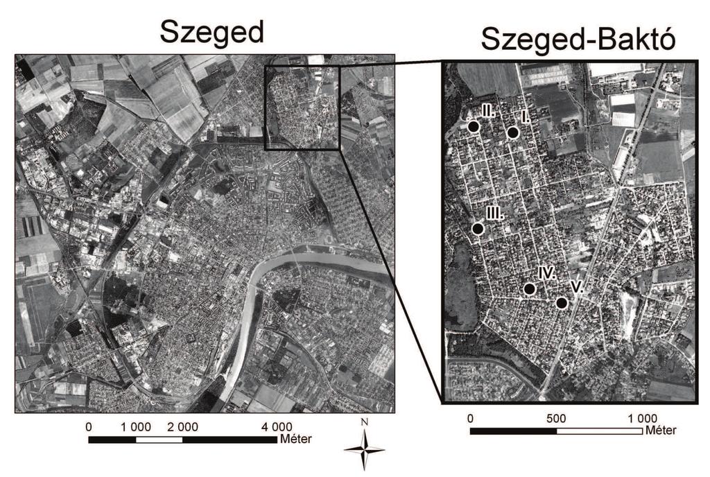 Szeged külvárosi, kerti talajainak osztályozása - A szelvények helyi vizsgálata, valamint a szükséges laborvizsgálatok elvégzése után az egyes kerti szelvények besorolása a WRB talajosztályozási