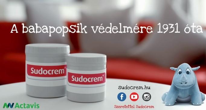 Tétel: Van, ami ma is ugyanolyan jó, mint sok-sok évvel ezelőtt. Bizonyítás: Korcsolyázás a régi iskolaudvaron, vagy a barátaid humora.