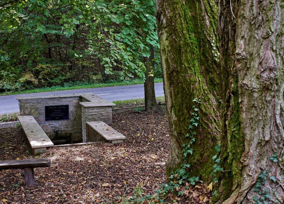 egységes telekkiosztással kialakított. A település szerkezetet alapvetően meghatározó adottsága, hogy a Park-tó és környékét körbeöleli.