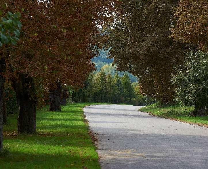 látogatóknak, valamint a sajátos növény