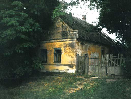 2009. május BMF HÍRLEVÉL X. évfolyam 5. szám Melléklet A BMF Hírlevél 2009.