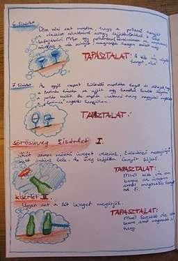 A nyolcadik osztály biológia füzeteit átlapozva a gerincről