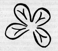 3. Rudolf Steiner rajza (Évszám nélkül, Nevelésművészet... 71.o) A feladat folytatódik, a görbe vonalakat egyenesekre cseréljük, és a gyerekekre bízzuk a befejezést.