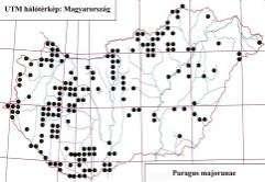 e-acta Nat. Pannon., Suppl. 1 (211) 275 1 9 8 7 Paragus majoranae 6 5 4 3 2 1 447. ábra. A Paragus majoranae lelőhelyei 448. ábra. A Paragus majoranae fenológiája Bátorliget, 1988.6.15.