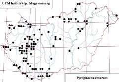 e-acta Nat. Pannon., Suppl. 1 (211) 323 25 2 Pyrophaena rosarum 15 1 5 531. ábra. A Pyrophaena rosarum lelőhelyei 532. ábra. A Pyrophaena rosarum fenológiája Pusztamarót, 1957.8.2., 2, TGY Pilisszentkereszt: Dobogókő, 1957.
