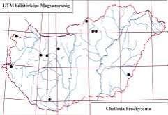 e-acta Nat. Pannon., Suppl. 1 (211) 75 8. ábra. A Cheilosia bergenstammi lelőhelyei 81. ábra. A Cheilosia brachysoma lelőhelyei km-es UTM hálómezők száma: 9.