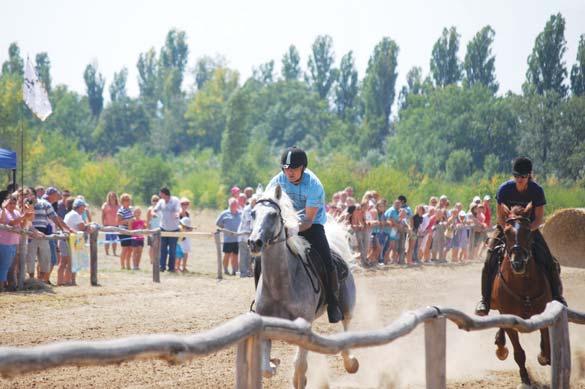 PROGRAMOK 42 BALATON // PROGRAMOK 43 BALATON Alsóörs Sirály park 17 20. Nyárbúcsúztató és Vendégmarasztaló Fesztivál.
