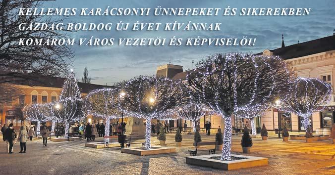 A hét állandó, kilenc taggal működő bizottságok elnökei: Patrik Ruman pénzügyi bizottság, Bujna Zoltán területfejlesztési, környezetvédelmi és városfejlesztési bizottság, Szénássy Tímea oktatási és