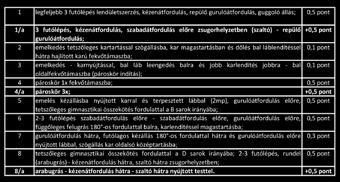 végre. Így ezek a tornászok nem a kortársaikkal együtt versenyeztek. Ezekre a helyzetekre is megoldást kellet találni. A korosztályok életkor szerinti besorolásán is változtatni kellett.