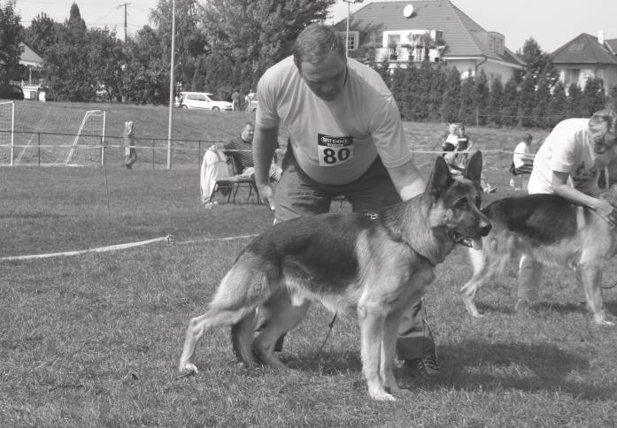 84. Alex v. Haus Milesevac Nem lett felvezetve 2005.12.25. JRSP726451 726451 (Arex v. Panonian See - Zambie v. Haus Milesevac) Firic Péter - Serbia Milesevo, Lenin 13. 85.