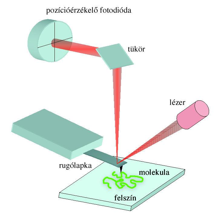 fotódiódába vetül. A lézernyaláb helyzetének változása a pozícióérzékelı fotódiódán arányos a rugólapka viselkedésében fellépı változásokkal. 4. Ábra. Az atomerı-mikroszkóp sémás ábrája.
