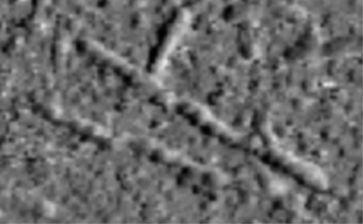 A i ii iii iv C 3 3 500 nm 2 2 1 1 B Erı