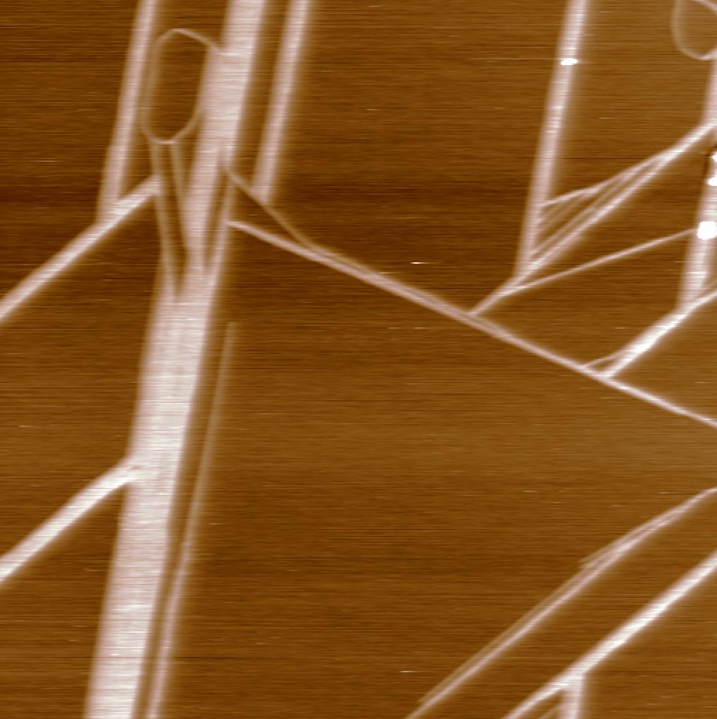 a. c. 2 µm 2 µm 8 b. d. 15 Gyakoriság 6 4 2 10 5 0 0 60 120 180 Szög ( ) 0 0 60 120 180 Szög ( ) 26. Ábra. a.