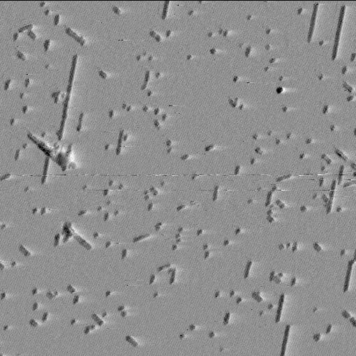 0. perc 28 perc 48 perc 67 perc 500 nm 28. Ábra. Csillámfelszínen, 30 mm K + jelenlétében növekvı Aß25-35 fibrillumok.
