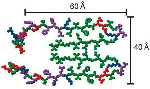Így kerültek elıtérbe olyan módszerek, mint a különleges spinjelölık alkalmazása (Török et al., 2002) és szilárdfázisú NMR spektroszkópia (Petkova et al.