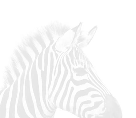 PITYPANG ZEBRA A minta elhelyezkedése az üvegen 800 mm 1000 mm 1100 mm A