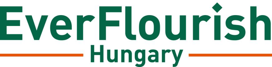 Lengő