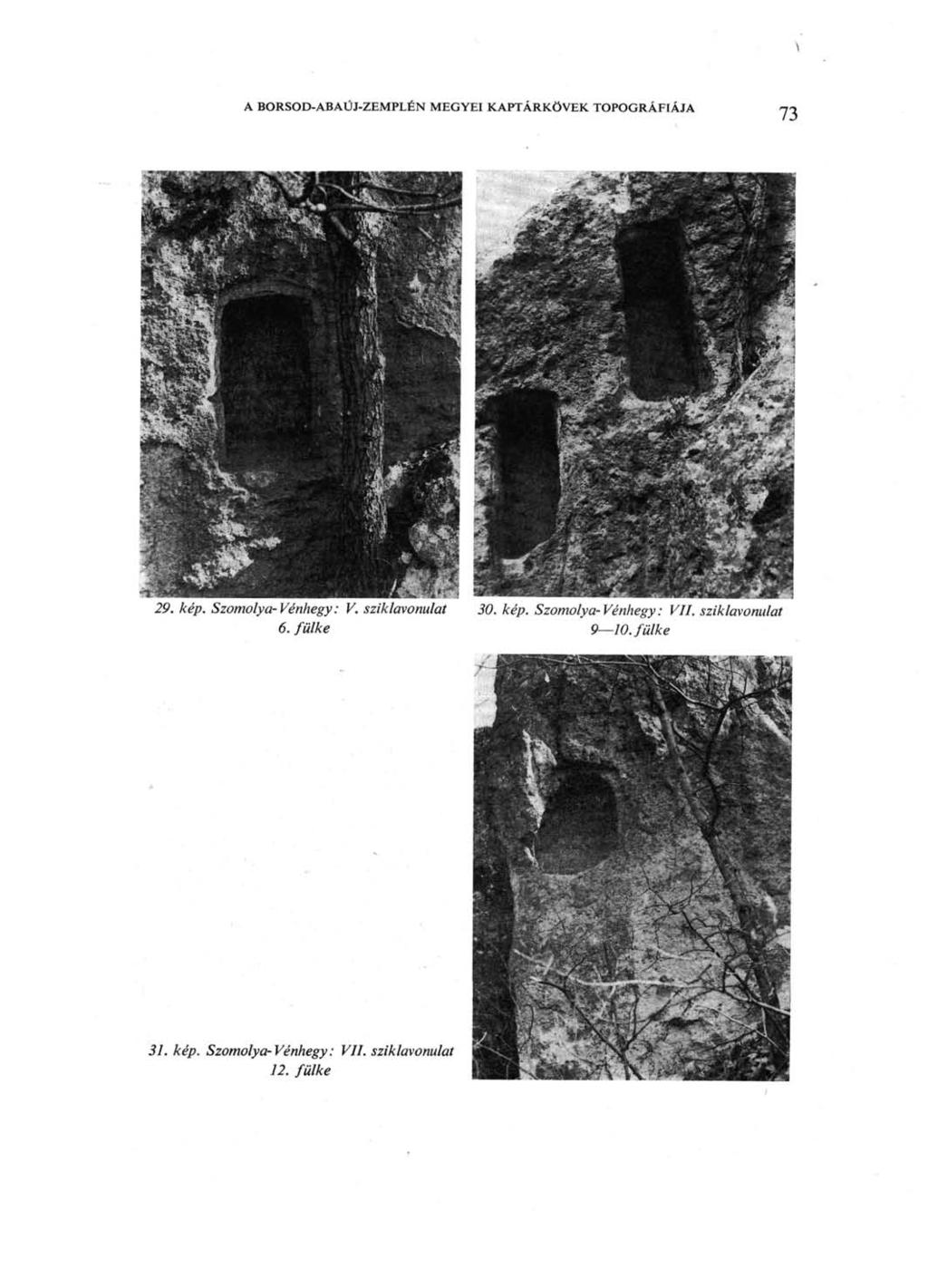 A BORSOD-ABAÚJ-ZEMPLÉN MEGYEI KAPTÁRKÖVEK TOPOGRÁFIÁJA 73 29. kép. Szomolya-Vénhegy: V. sziklavonulat 30. kép. Szomolya-Vénhegy: VII.