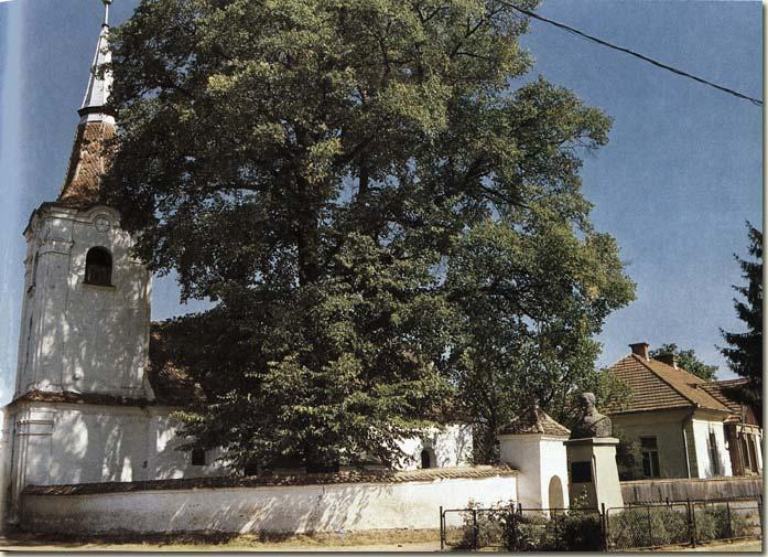 Befejezésül álljon itt a dardzsilingi síremlékrõl a Széchenyi-hagyatékban lévõ kép Széchenyi István által írt körfelirata: Egy szegény árva magyar, pénz és taps nélkül, de elszánt kitartó