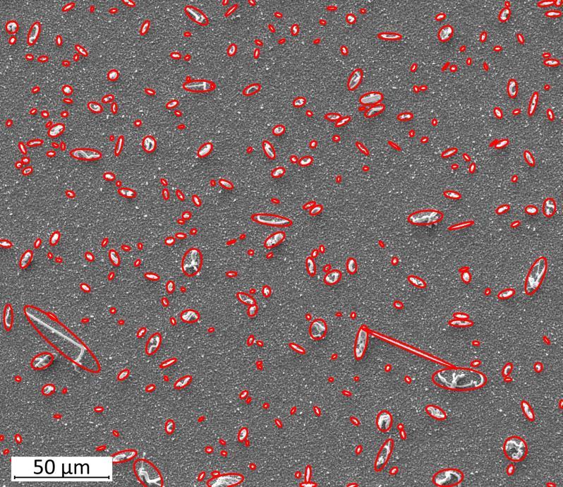 WHISKER KÉPZŐDÉS 400 nm VASTAGSÁGÚ Sn VÉKONYRÉTEGEN SEM képeken automatikus whisker-keresés és jellemzés képfeldolgozó módszerrel képek binarizálása objektumok átlagos lefogott hosszának