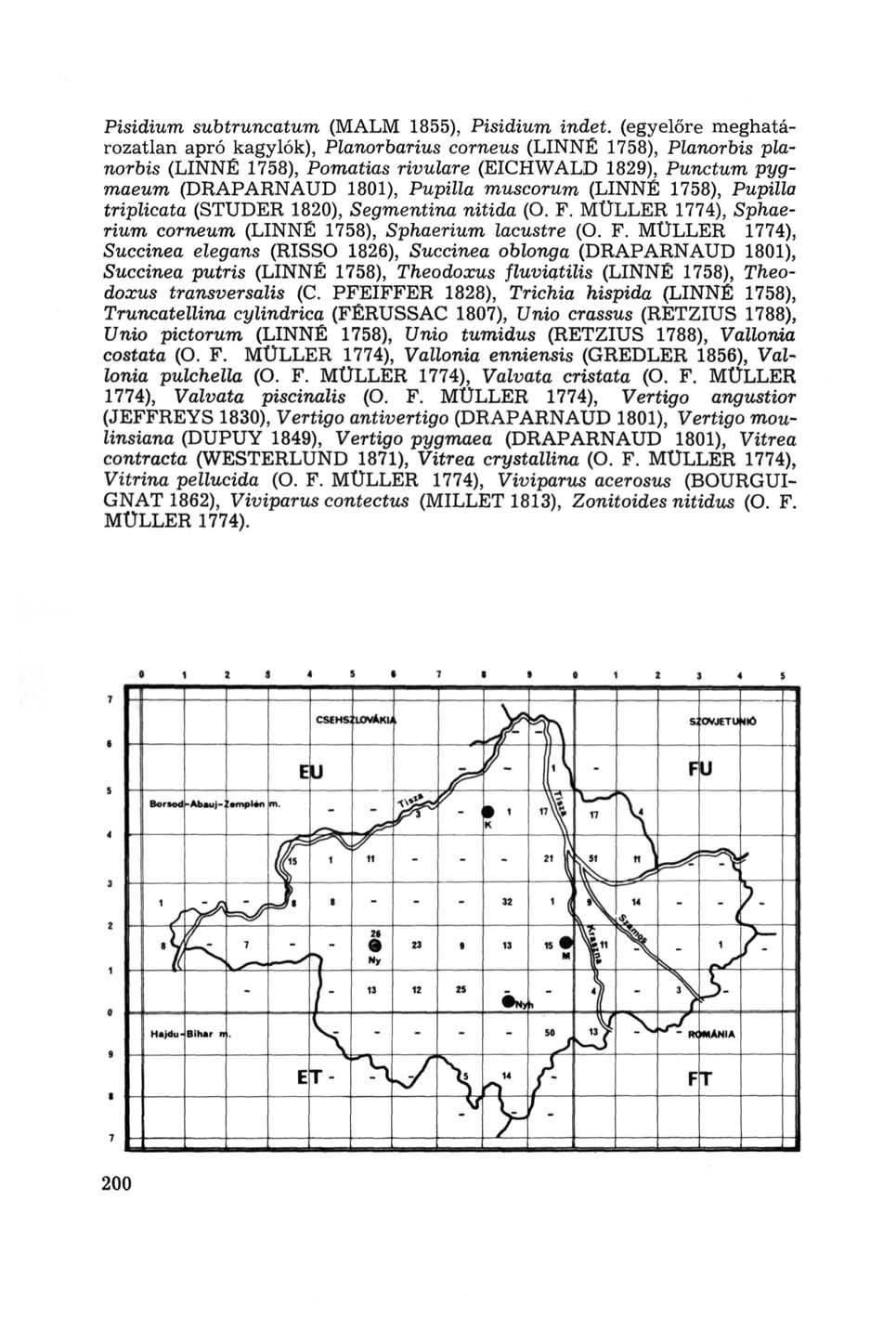 Pisidium subtruncatum (MALM 1855), Pisidium indet.