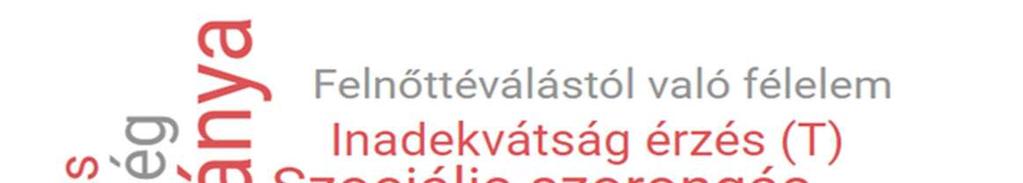 3.15. ábra, Az AN csoport jellemz i a SAFA alskálák alapján A SAFA Szorongás alskálák összehasonlításában az AN csoport minden