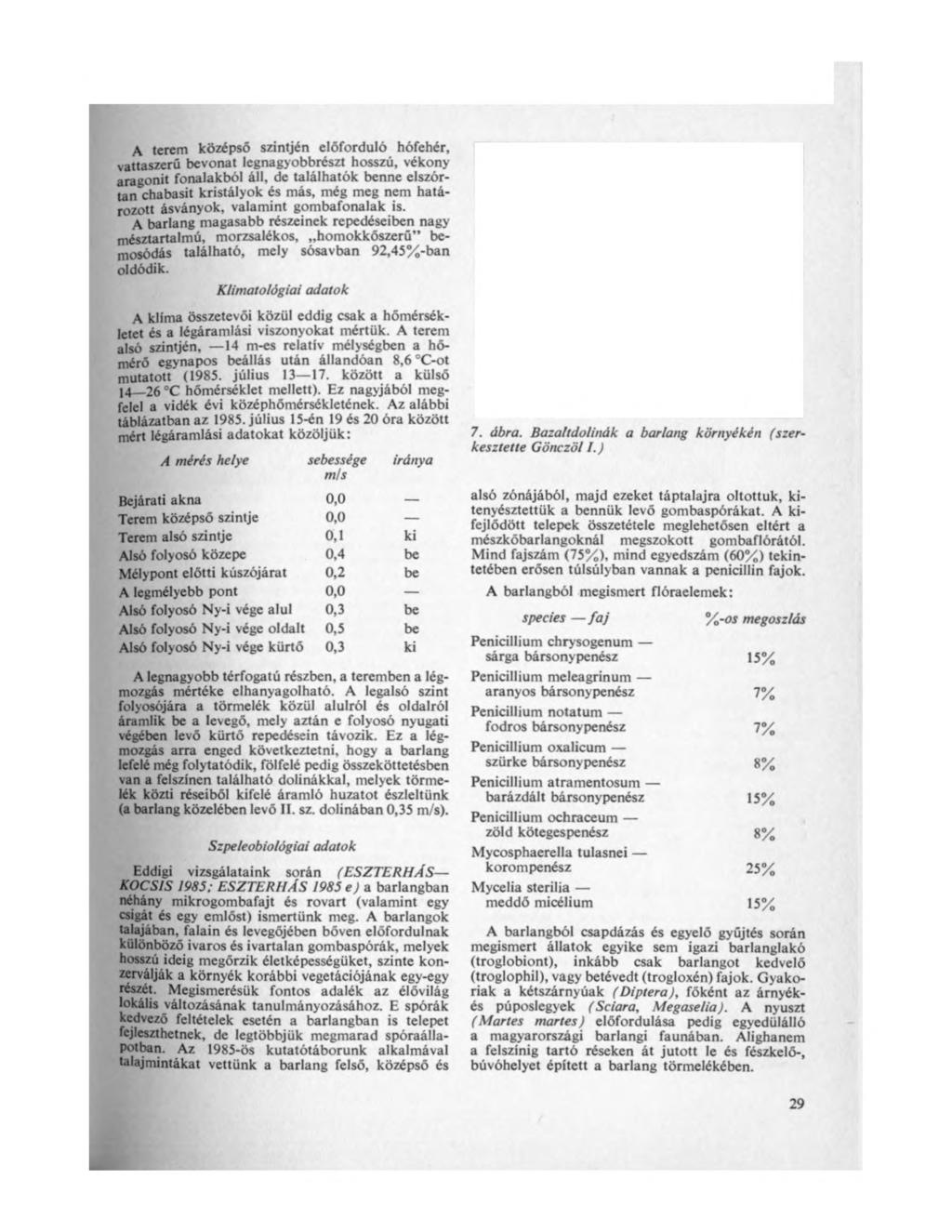 A terem középső szintjén előforduló hófehér, vattaszerű bevonat legnagyobbrészt hosszú, vékony aragonit fonalakból áll, de találhatók benne elszórtan chabasit kristályok és más, még meg nem